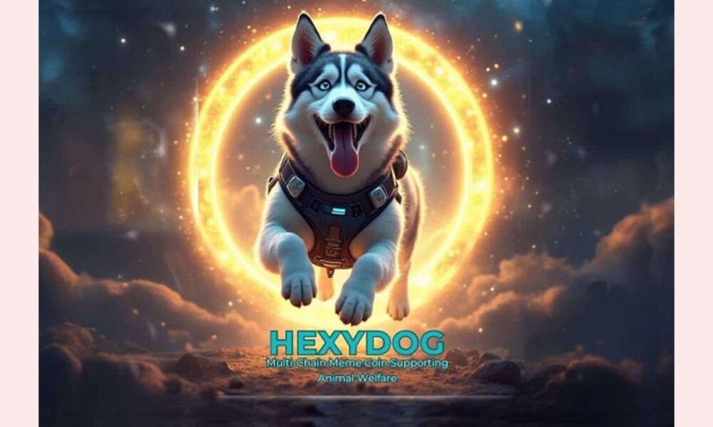 Dogecoin(Doge)とShiba Inu(Shib)の重要な成功要因