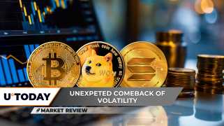 ビットコインは、市場の乱流の典型的な例を生み出しました。