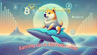 過去30日間、正体不明のドッグコイン（Doge）クジラは大量のDogeを購入し続けました