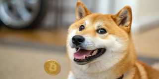 Dogecoin（Doge）価格は5月に38％急増し、ビットコインの強気な傾向が続く場合、0.65ドル、さらには1ドルを目標としています