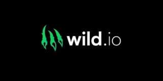 最高のドッグコイン（doge）カジノ：なぜwild.ioが一番の選択肢であるのか