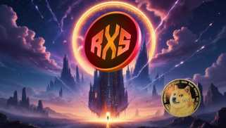 財務レクサス（RXS）