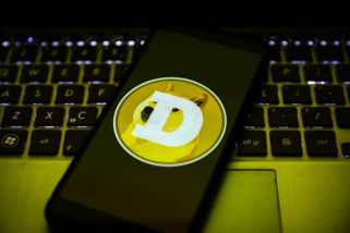 DogeCoinのラリーは、29日間のサイクルを繰り返すためにプログラムされています