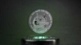 Dogecoin（Doge）価格予測：Dogeの現在の価格の急増は何ですか？