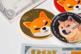DogecoinとShiba Inuは今日急上昇しており、強気の見通しを提供しています