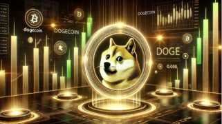Dogecoin价格可能在崩溃后触底