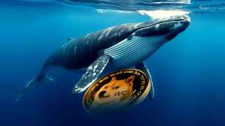 鲸鱼的积累将Dogecoin（Doge）价格提高100％