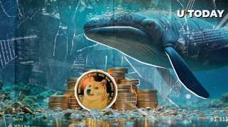 고래는 지난 주에 1 억 개의 도코 인 (Doge)을 구입했습니다!