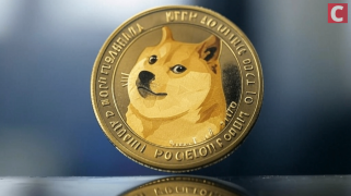 Malgré les rumeurs de Tesla à la recherche d'un remplaçant pour Elon Musk, Doge a réussi à maintenir sa base