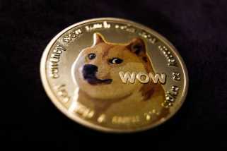 Dogecoin (DOGE) Has Notably Shifted Toward Positive Territory