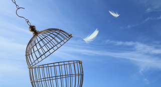 比特幣（BTC）最近的上升趨勢很可能以六位數的價格奠定了基礎