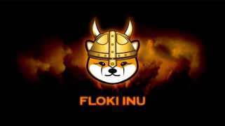 Floki（Floki/USD）在脫離Meme Coin Pack時飆升了32％
