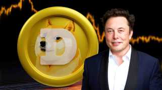 Dogecoin (DOGE) Preis hielt trotz Gerüchten über Elon Musks Ausstieg stabil über 0,16 USD