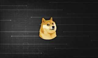 Dogecoin（Doge）的價格進入E階段的下一步，以新的歷史高點為目標