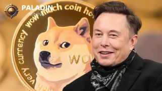 自2016年以来，Paladining Dogecoin云采矿服务提供商在英国建立了法律建立，并且是清洁能源可持续云采矿的领导者。