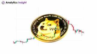 評估狗狗幣的投資者必須承認風險