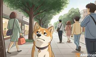 DogEcoins [DOGE] -Netzwerkaktivität ist seit Oktober 2024 auf den niedrigsten Niveau gefallen