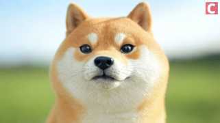 Während der breitere Kryptomarkt eine Konsolidierung eingetreten ist