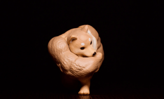 Sowohl Dogecoin ($ doge) als auch pepe ($ pepe) waren im letzten Monat um über 20% gesunken