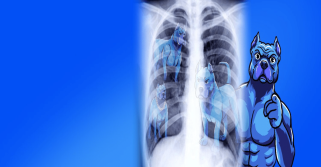 頂級模因硬幣現在投資