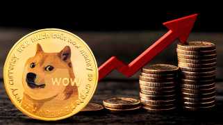 Steigende Brieftaschenaktivität deutet darauf hin, dass das Vertrauen in DogEcoin wächst