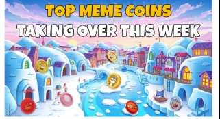 什麼是北極帕勃羅硬幣的預售結構？