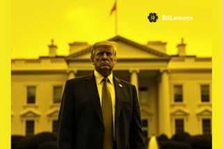 Bitlemons（Blem）爆炸，因為鍊鍊數據揭示了Dogecoin網絡活動上升47％