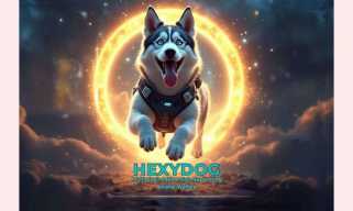 Dogecoin（Doge）とShiba Inu（Shib）の重要な成功要因