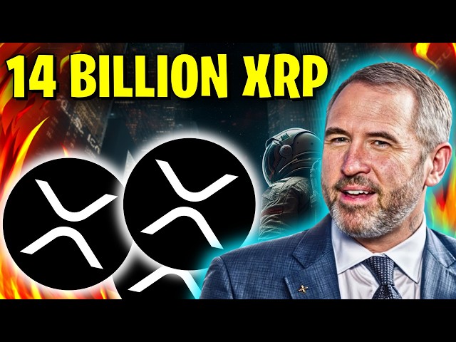 Crypto Hype - Daily Crypto News