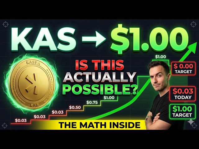 Zacchy Crypto Update