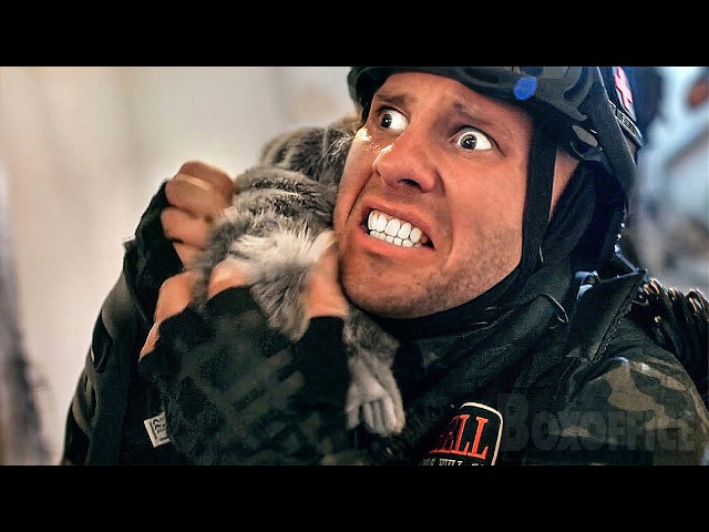 Boxoffice | B Movies | Full Movies