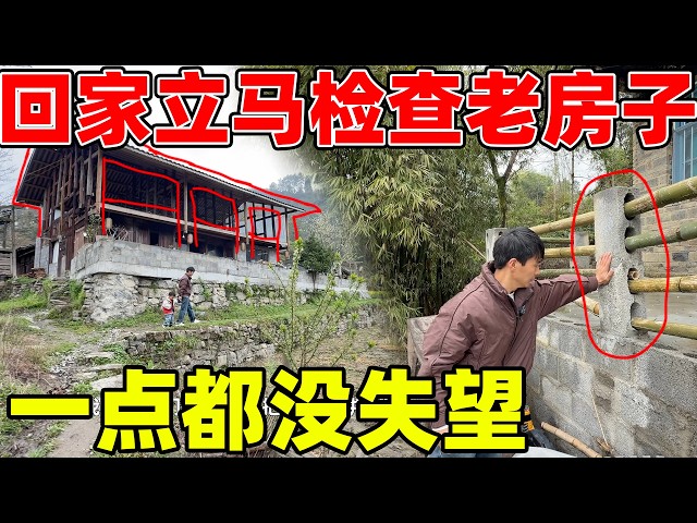 山有俊琴 Shan You Junqin