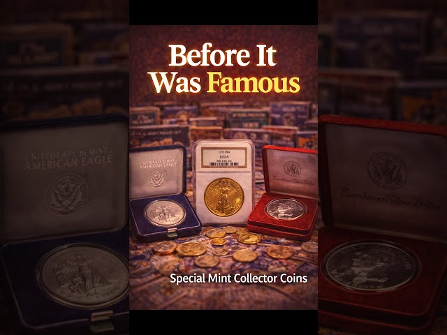 My Premium Collection