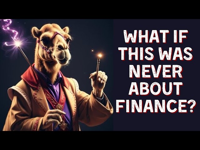 Camel Finance