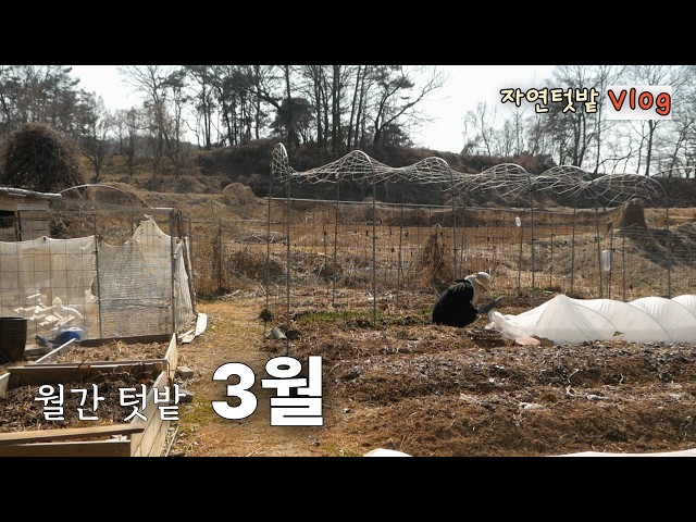 재미삼아 텃밭 jjamgarden