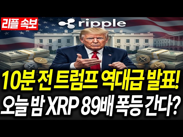 알파스캐너 (Alpha Scaner)