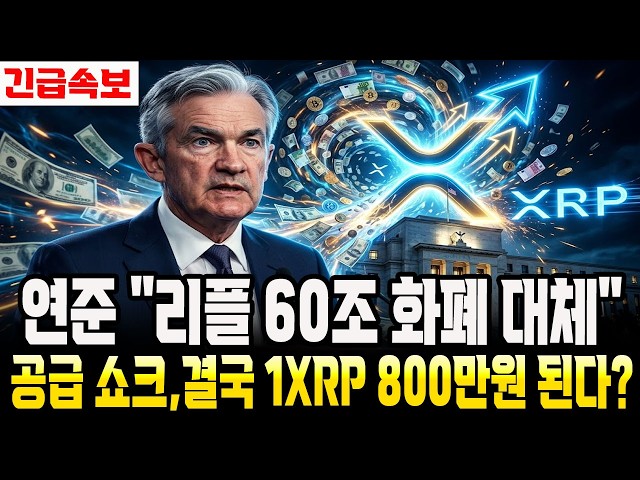 알파스캐너 (Alpha Scaner)