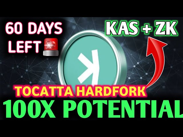 Zacchy Crypto Update