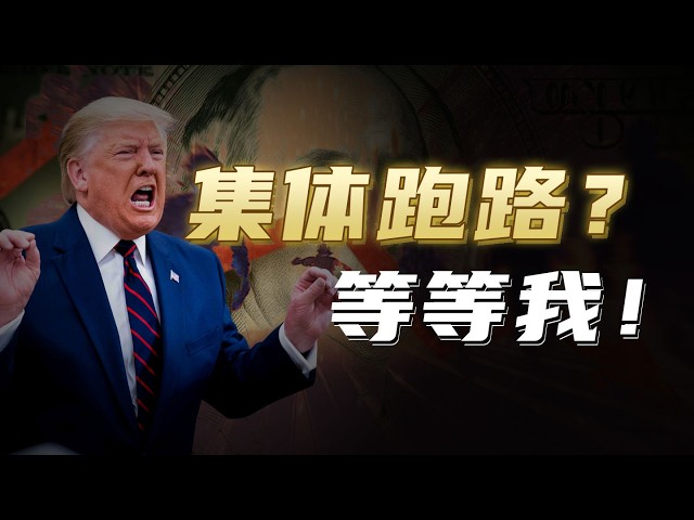 分析师舒琴谈比特币