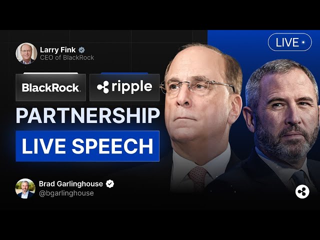 Palatao Bola Official