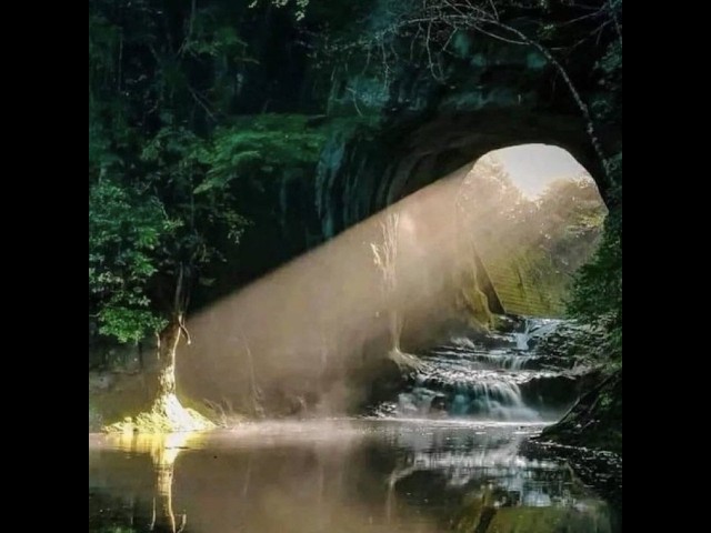 Chinatsu Ch. 東雲千夏 【𝐕𝐄𝐍𝐉𝐈】