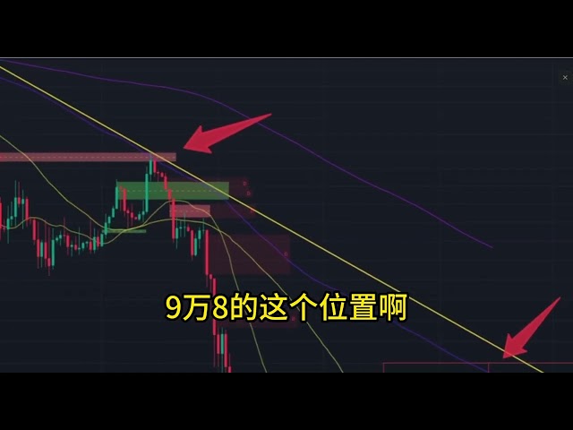 深情竹子-KOL情报站