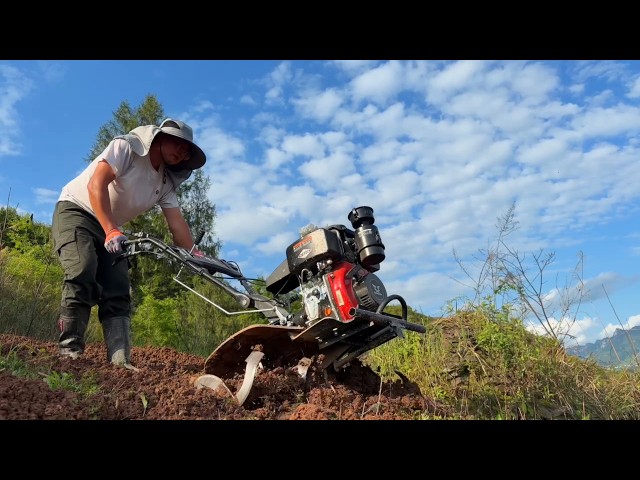 农人飞杨Farmers FeiYang