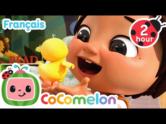 CoComelon Le coin des Animaux de JJ - Comptines