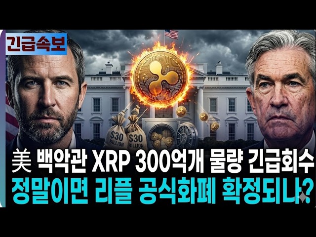 코인 프론트라인