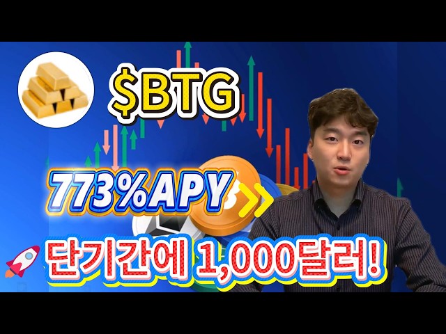 온체인인사이트센터