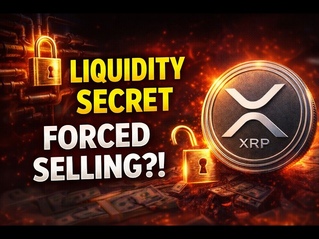 XRP FLR Investigation