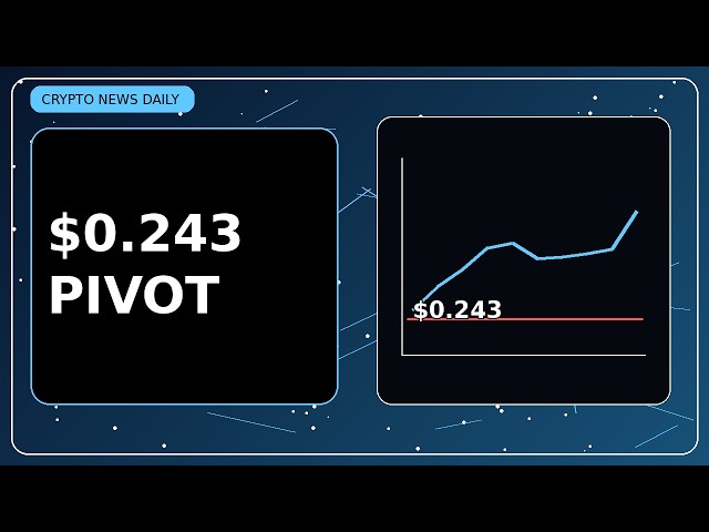 The Employer Playbook