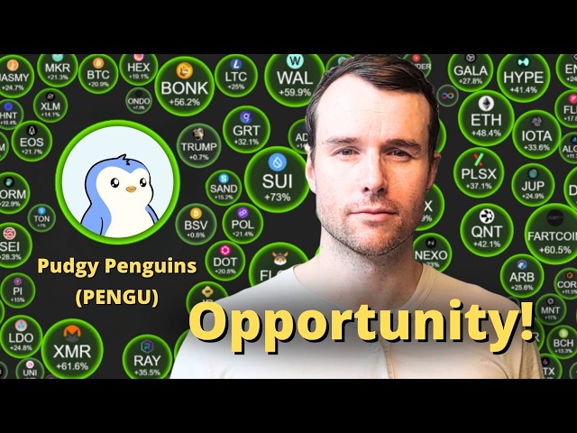 Gerhard - Bitcoin Strategy