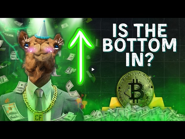 Camel Finance